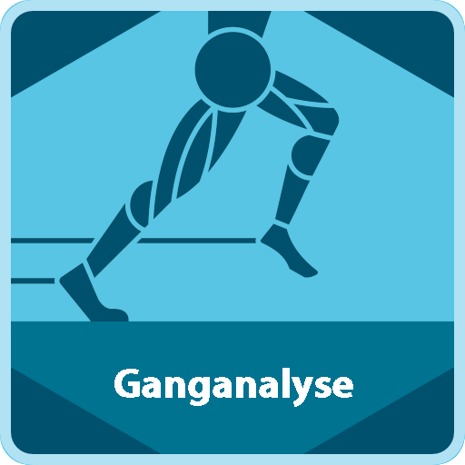 Ganganalyse