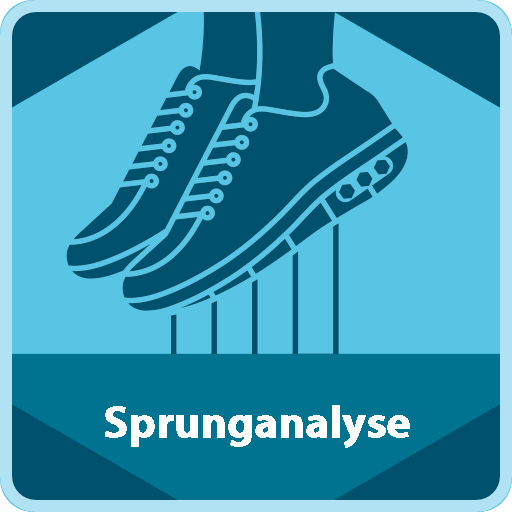 Sprunganalyse